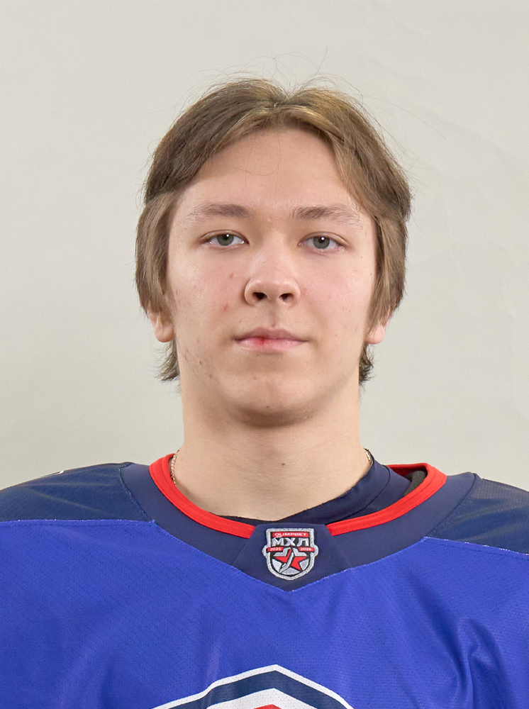 Андрей Сальников МХК Чайка