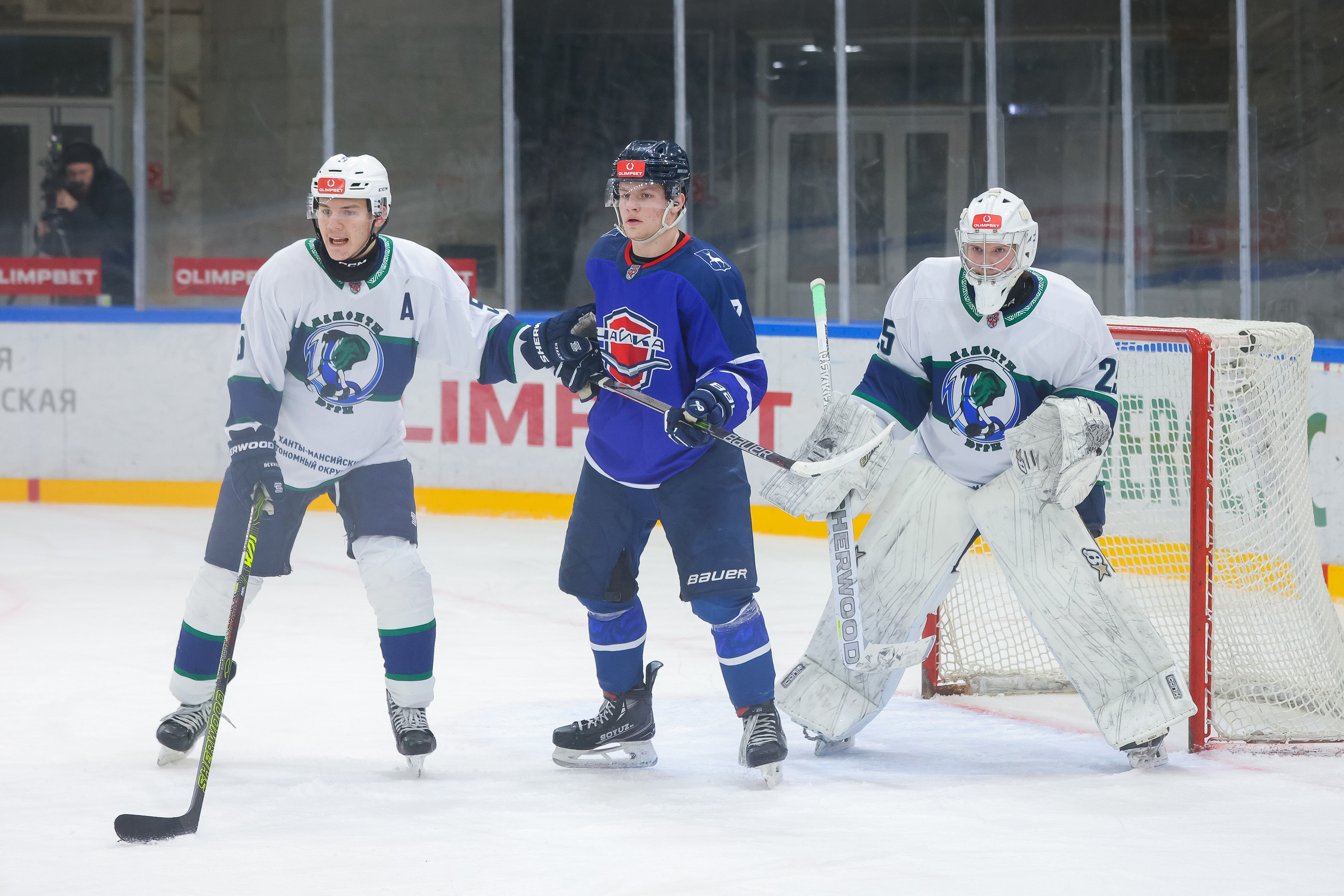 «Чайка» — «Мамонты Югры» — 5:1