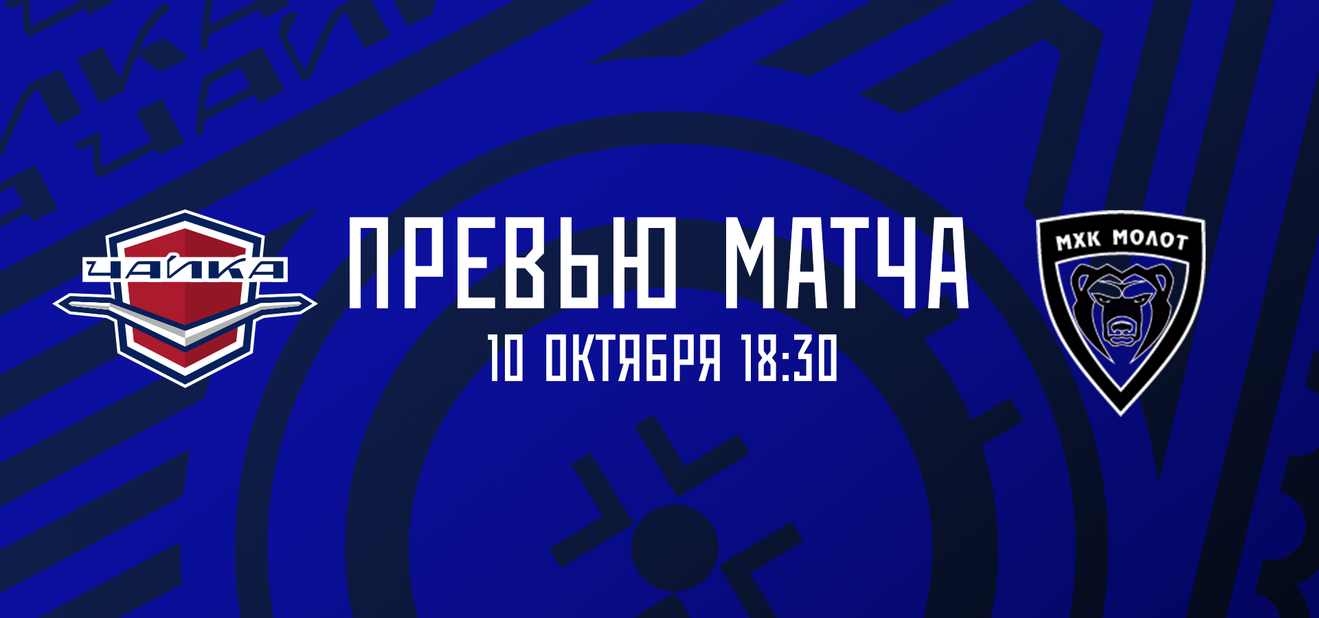 «Чайка» — МХК «Молот»