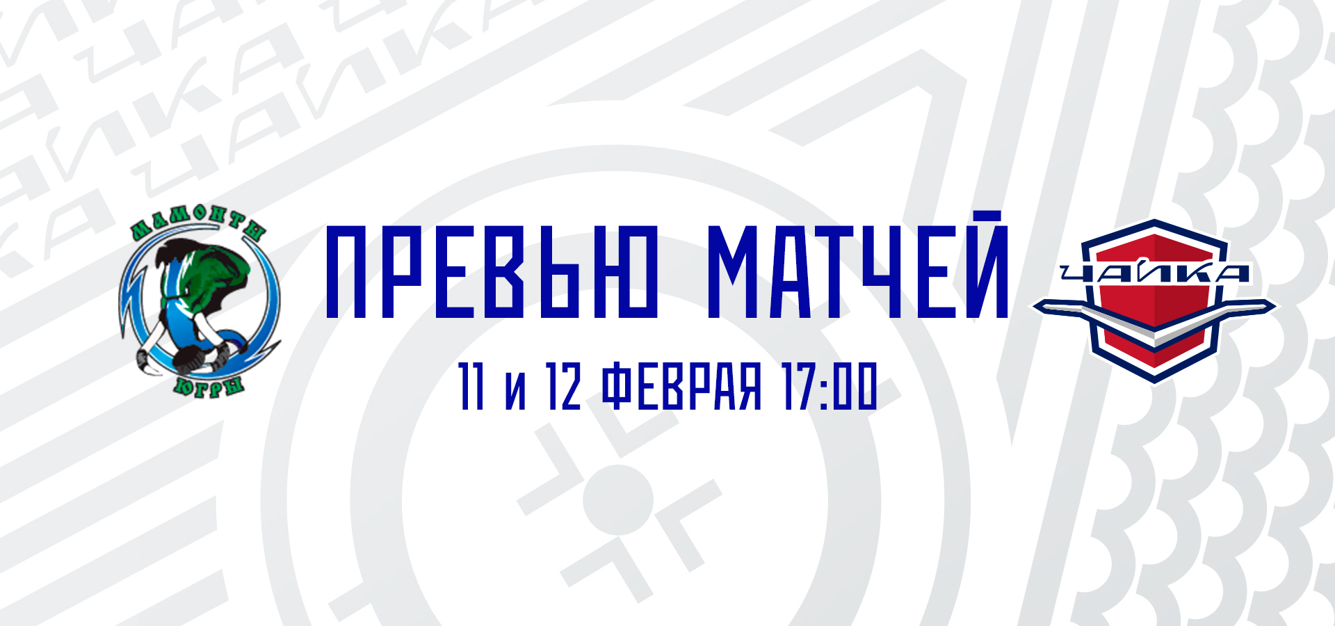 «Чайка» отправляется в гости к «Мамонтам Югры»