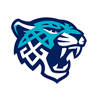 Снежные Барсы